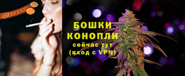 амф Осташков