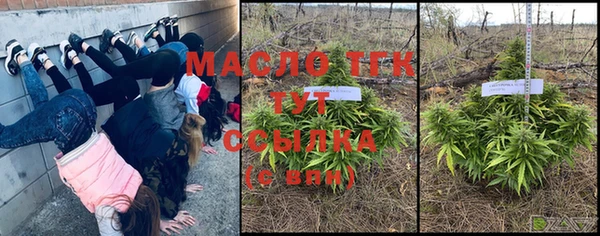 стаф Няндома