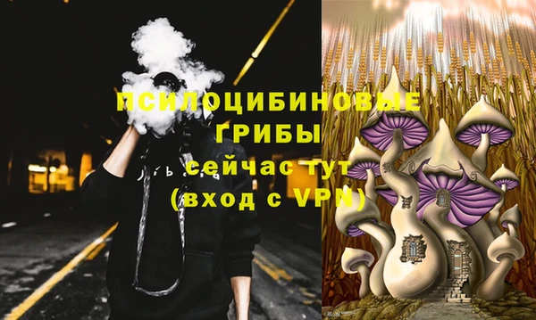 амф Осташков