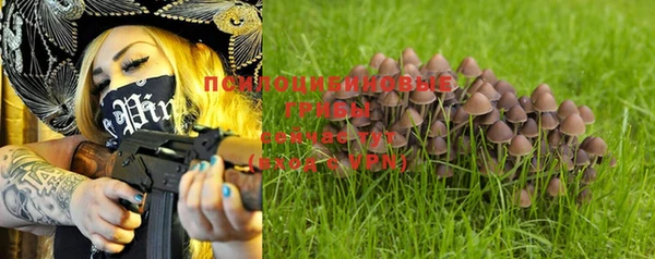 mix Осинники