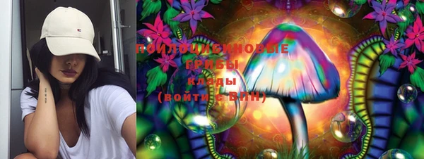 mix Осинники