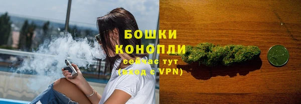 амф Осташков