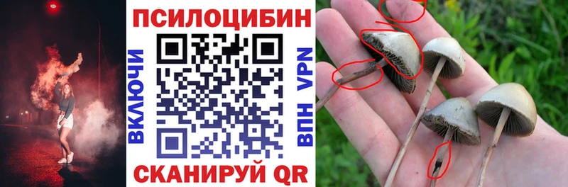 Галлюциногенные грибы ЛСД  Кубинка 