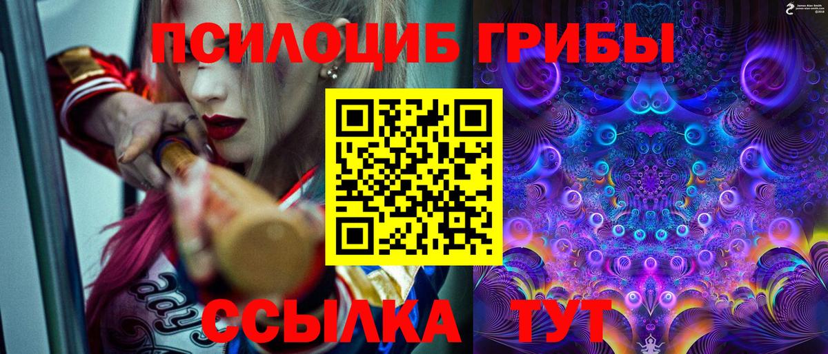 Псилоцибиновые грибы мухоморы  Псилоцибиновые грибы Cubensis  Кубинка 